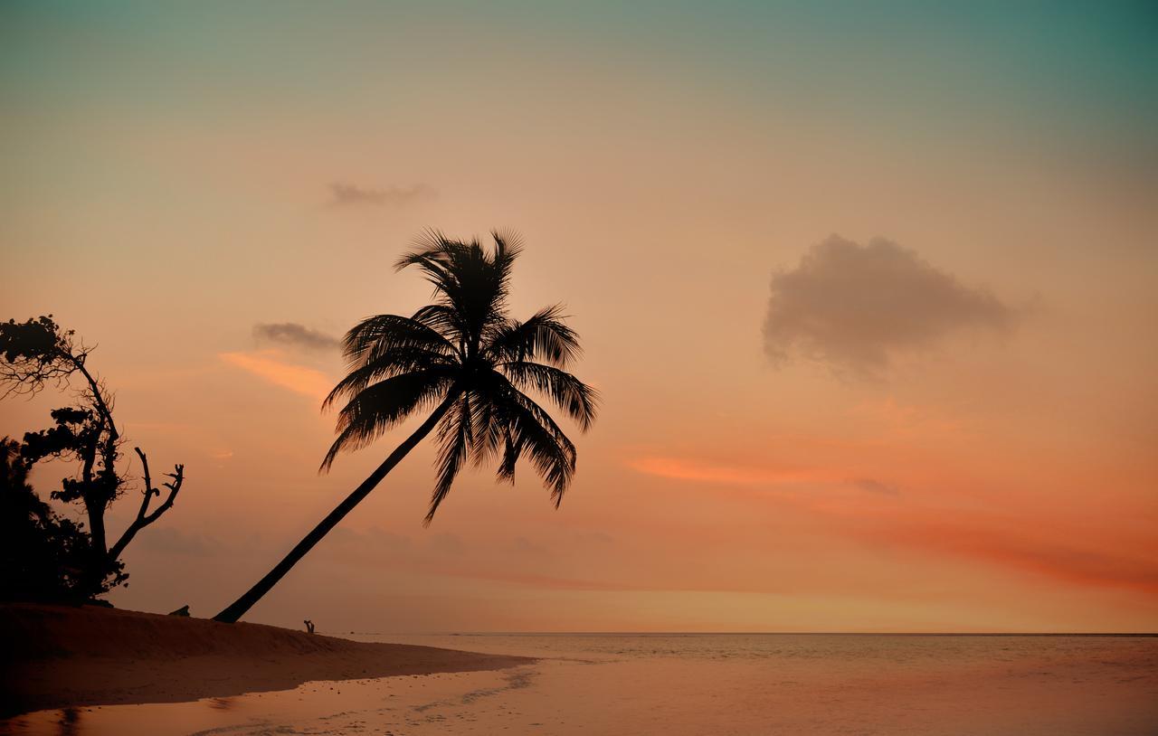 The Castaway Retreat Hotel Feridhoo Ngoại thất bức ảnh