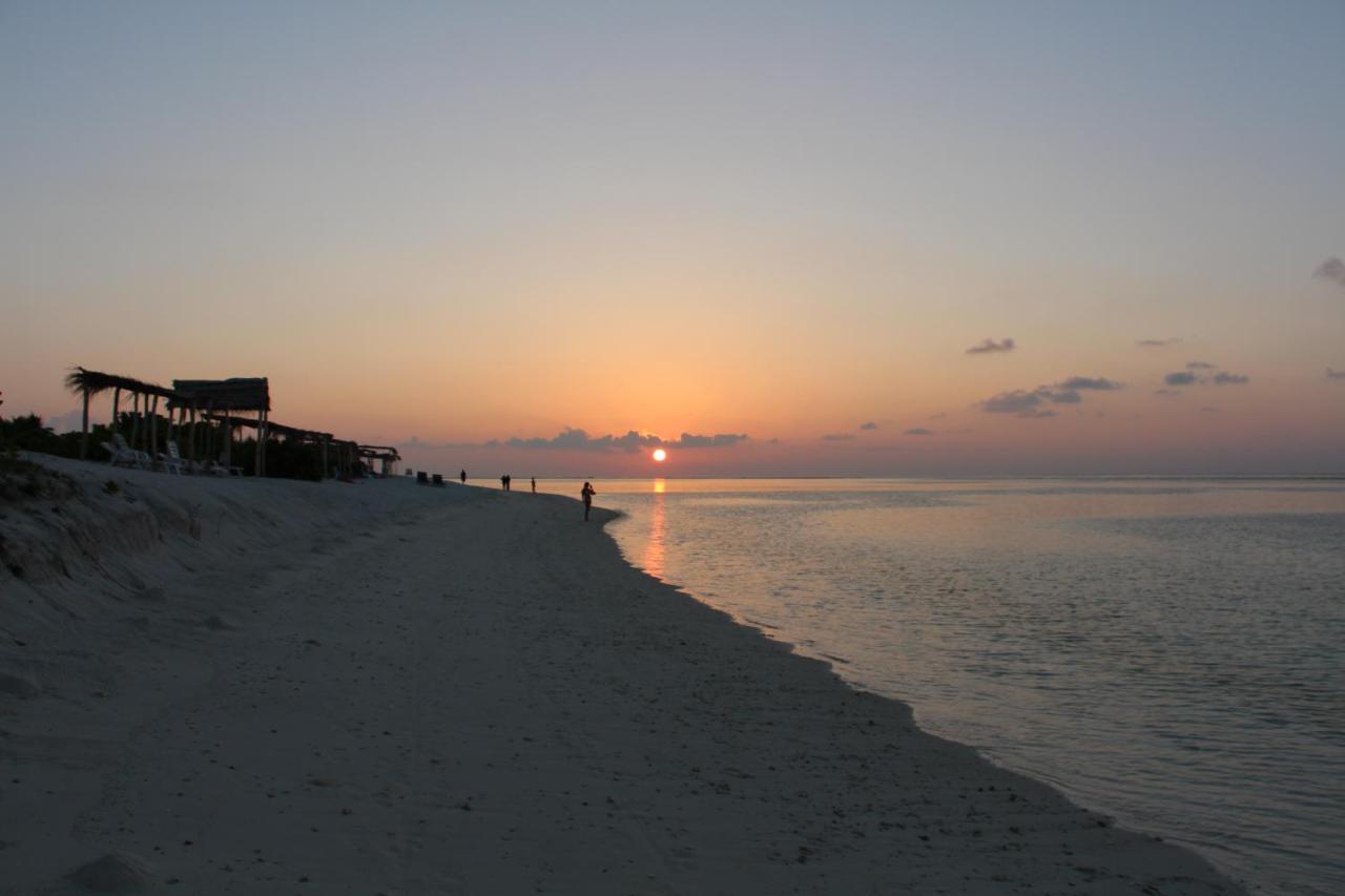 The Castaway Retreat Hotel Feridhoo Ngoại thất bức ảnh